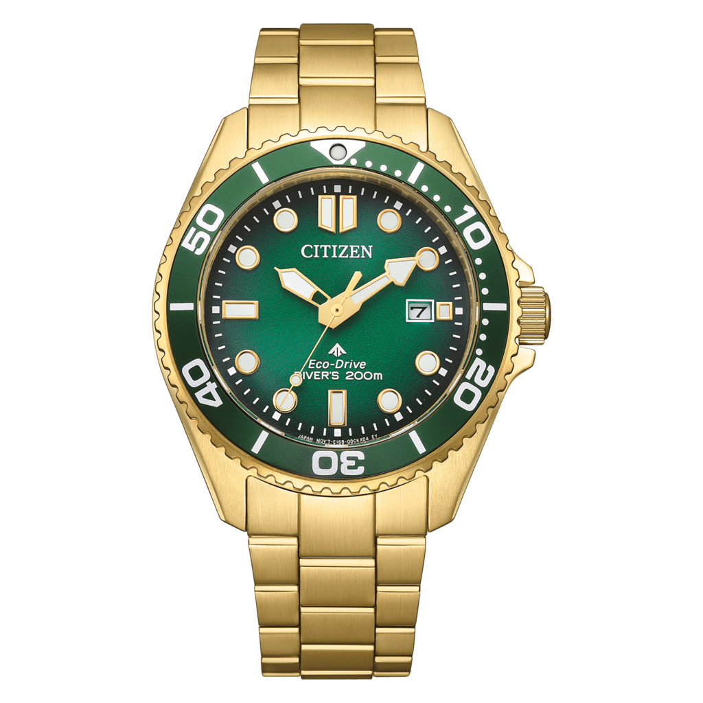 CITIZEN BN0262-59W Kol Saati