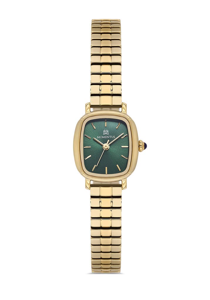 MOMENTUS CW318G-15SG Kol Saati