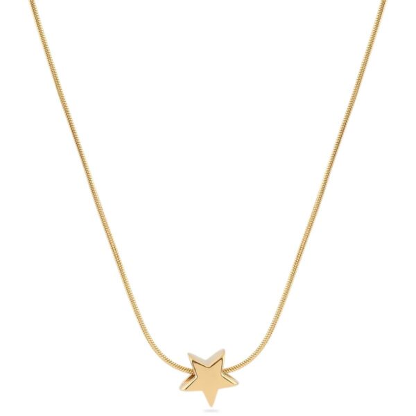 Yıldız Figürlü Altın Renkli Çelik Kolye