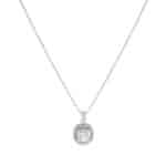 Baget Figürlü Gümüş Renkli Çelik Kolye