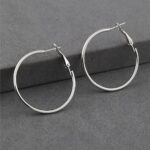 Düz Halka Gümüş Renkli Çelik Kilitli Küpe