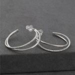 Çift Katmanlı Gümüş Renkli Çelik Halka Küpe